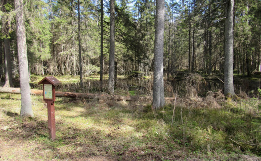 10_Pilelio saltinis. A.Brazdeikytes n.jpg